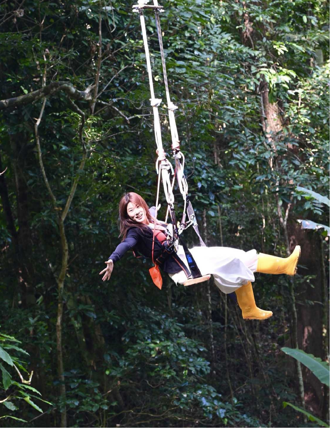 么卓线雨林秋千